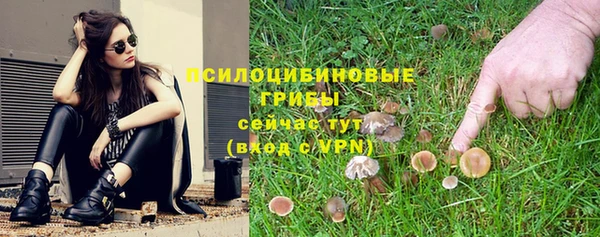 хмурый Липки