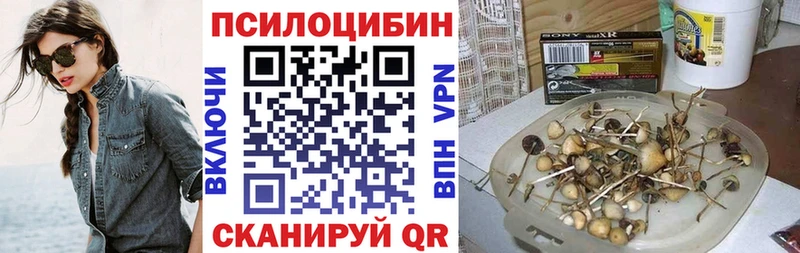 Галлюциногенные грибы Psilocybine cubensis  Мамадыш 
